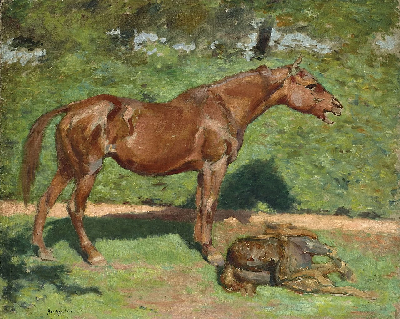 Cavalla e il suo puledro